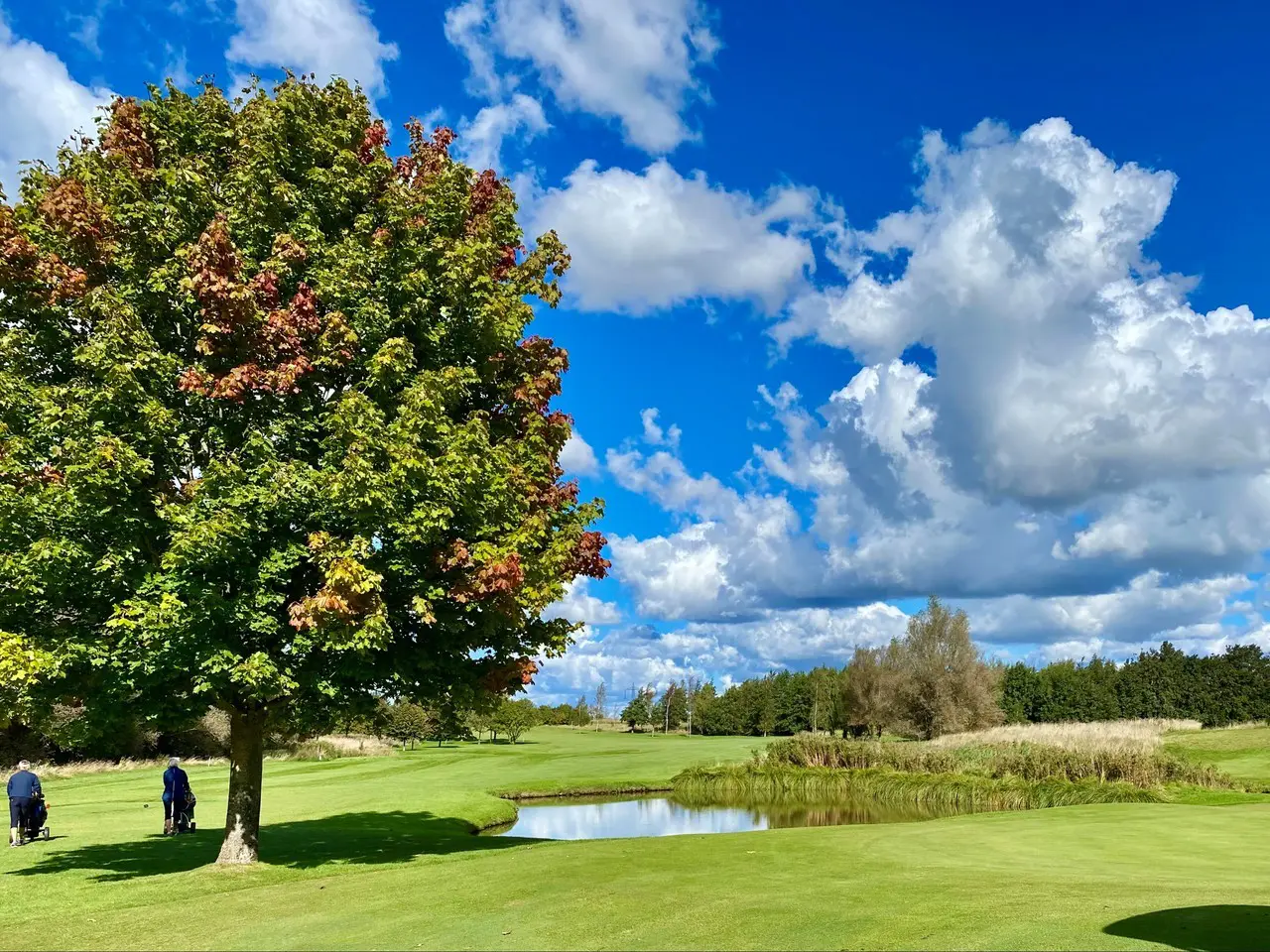 Nu öppnar vi banan igen på Söderslätts GK!